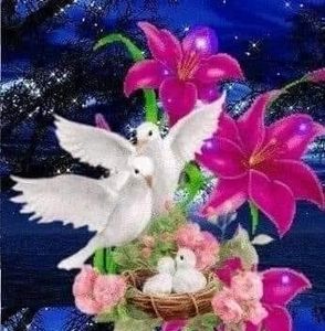 Meet your Posher, Leonor